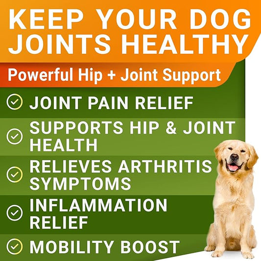 STRELLALAB Liquid Glucosamine for Dogs w/Collagen (16 OZ) - All-Natural Hip & Joint Supplement, Glucosamine Chondroitin for Dogs, MSM & Collagen for Dogs Mobility, Joint Pain Relief for Small & Large