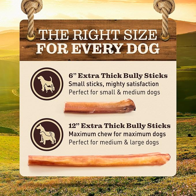 Pet Odor-Free Extra-Thick Jumbo Bully Sticks for Large Dogs (12", 5 Pack) – All-Natural, Long-Lasting Dog Chews Made from 100% Grass-Fed Beef, High-Protein & Grain-Free.