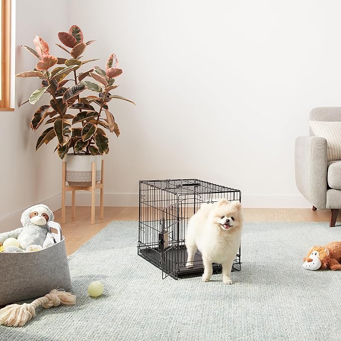 Amazon Basics Durable, Foldable Metal Wire Pet Crate with Tray, Portable and Sturdy for Travel, Single Door, Divider Panel, Perfect Size for Small Dogs, 22 x 13 x 16 in, Black