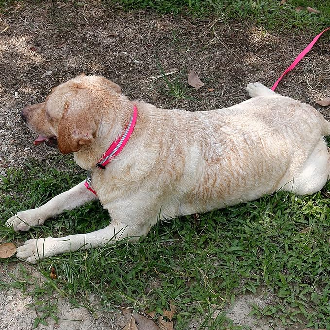 NIMBLE Dog Collar Waterproof Pet Collars Anti-Odor Durable Adjustable Polyester Soft with Reflective Cloth Stripe Basic Dog Collars S/M/L Sizes (Large (15.35”-24.8”inches), Pink)