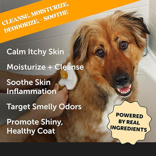 Dog Allergy Relief Seasonal Itch Relief Shampoo for Dogs and Cats - Dog Skin and Coat Supplement, Itch Support for Dogs, Moisturizing and Hydrating Coconut Oil + Vitamin E (16 oz)