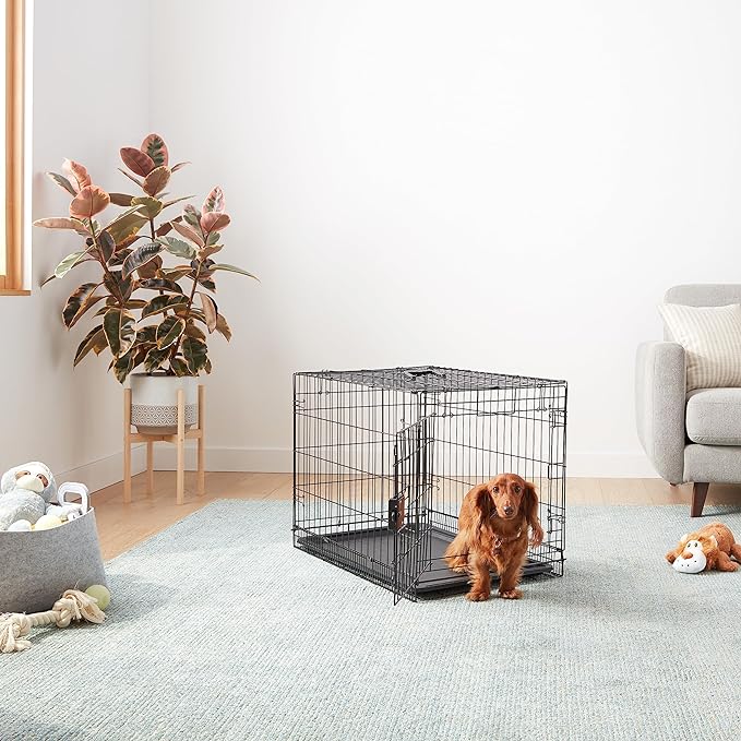 Amazon Basics - Durable, Foldable Metal Wire Dog Crate with Tray, Single Door, 30 x 19 x 21 in, Black