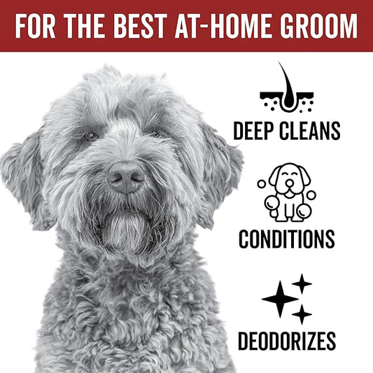 Pride and Groom DogDays Curly + Wavy Grooming Shampoo | Tearless, All-Natural Shampoo for No and Low Shedding Dogs | Moisturizing Formula for Soft, Shiny, & Healthy Fur – 16 oz