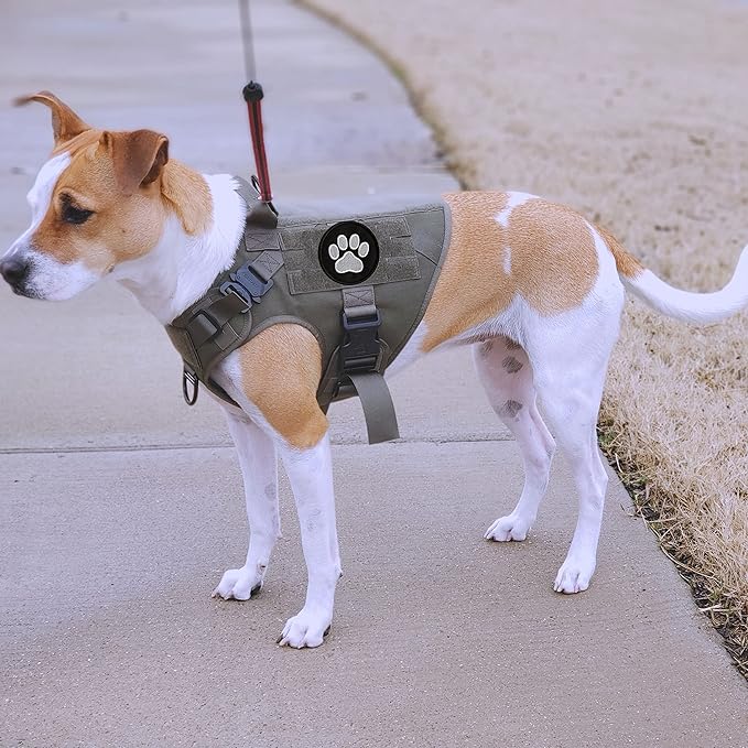 TACVEL 2 Pieces Dog Paw Tactical Patches Military Uniform Emblem Patches, Embroidered Applique Hook & Loop Patch for Caps, Backpacks, Clothes, Vest, Military Uniforms, Tactical Gears Etc
