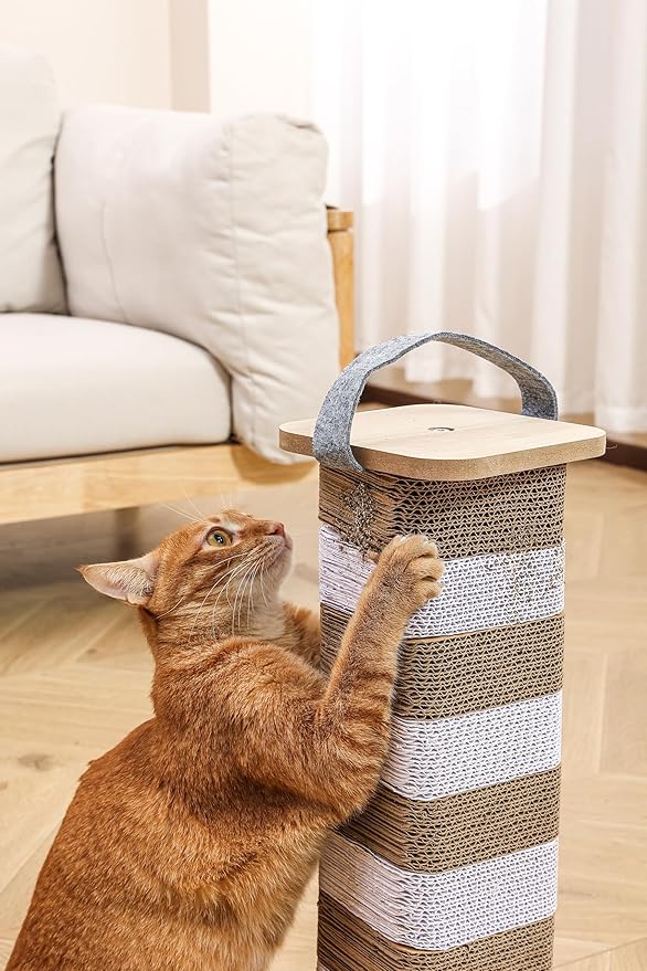 Cat Scratching Post for Indoor Cats