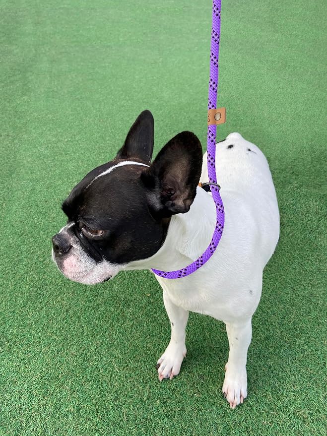 5 FT Slip Lead, Heavy Duty Rope Leash for Small to Large Dogs, No Pull Training Lead with Reflective Thread, Strong Comfortable Loop (Purple Stripe, Medium(3/8"))