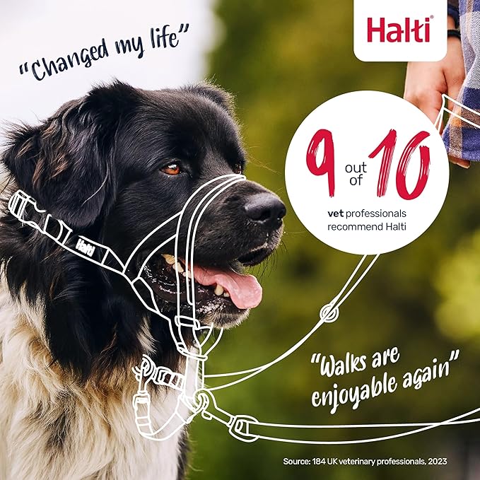Halti Headcollar - Stop Your Dog Pulling on The Leash. Adjustable, Reflective and Lightweight, with Padded Nose Band. Dog Training Anti-Pull Collar for Medium Dogs (Size 2, Red)
