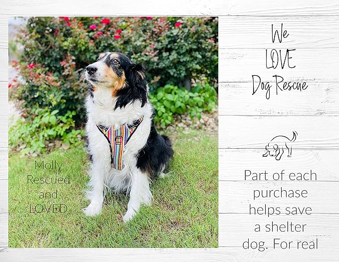 Lucky Love Dog No Pull Dog Harness, Adjustable and Easy to Walk, Cute Patterned Harness for SmallMale & Female Dogs - Primrose, Small