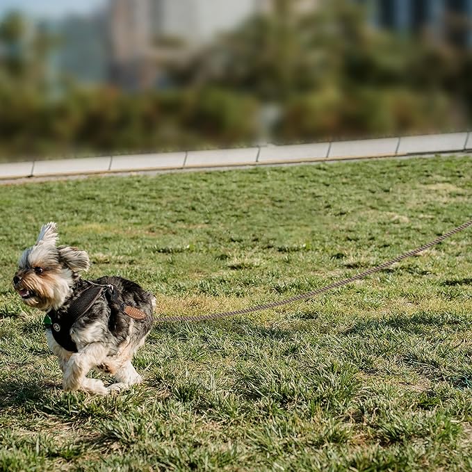 Mile High Life Dog Leash, Braided Cotton Rope Leashes with Leather Tip - Heavy Duty Metal Clasp, 4FT, 1/3" Thick - Wedding, Walking Leash for Small Medium Dogs(Camel)