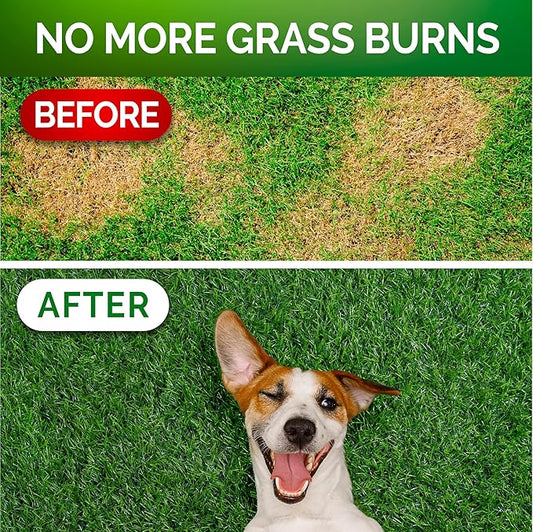 Vet Promise Grass Burn Spot Chews - Dog Urine Neutralizer for Lawn - 120 Grass Green Treats, Rocks - Pee Grass Spot Saver Caused by Dog Urine - Probiotics - Digestive Enzymes - Made in USA