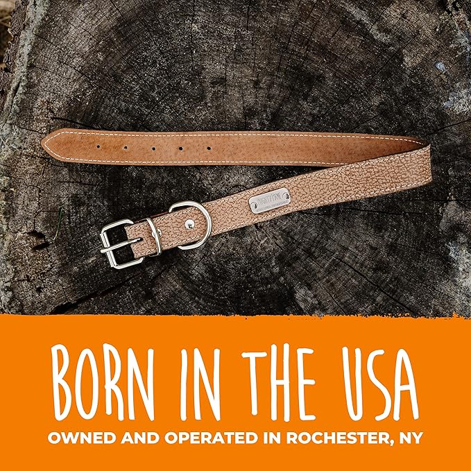 Mighty Paw Leather Dog Collar - Genuine Distressed Leather - Strong Metal Buckle - Ultimate Comfort - Modern Style for All Dogs Breeds - Comfort Puppy Collar - (Large - Lite Brown)