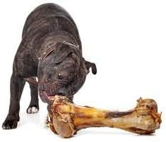 EcoKind Premium Giant Mastedon Femur for Dogs | 1 Giant Bone | All Natural for Large Dogs and Aggressive Chewers