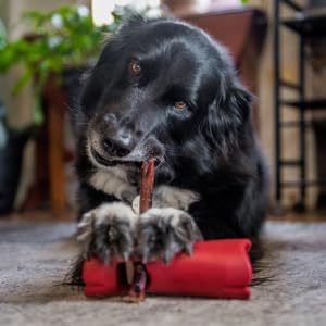 Bully Bunches Mega Hold Anti-Choking Bully Stick Safety Holder for Small, Medium and Large Dogs - Fits All Sized Bully Sticks & Works with Other Chews