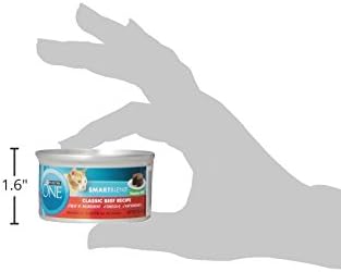 Purina ONE Natural, High Protein, Grain Free Wet Cat Food Pate, Beef Recipe - (Pack of 24) 3 oz. Pull-Top Cans