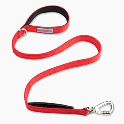 DF Co. Classic Dog Leash | Strain-Free, Shock Resistant, Prevents Jolts, Maintain Control | Durable Waterproof Material with Heavy Duty Clip & D-Ring (Red, Small)