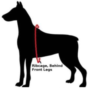 ChokeFree Velpro Mesh Pet Shoulder Harness Collar (Coral, 20")