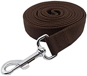 Strong Nylon Dog Leash with 2-Layer, 4 FT/ 6 Feet Long, 1 Inch Wide for Medium Large Dogs (1'' x 7 FT, Brown)