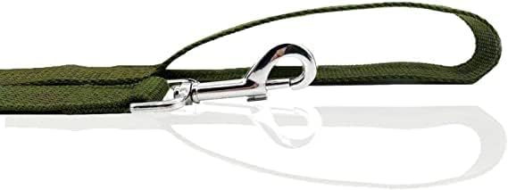 Nylon Dog Leash 8 Feet Long, Walking Training Dog Leashes for Medium Large Dogs(1" X 8 ft, Gree)