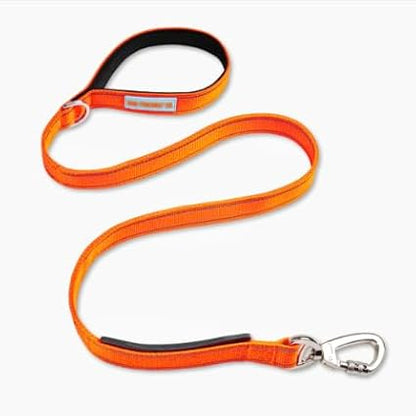 DF Co. Classic Dog Leash | Strain-Free, Shock Resistant, Prevents Jolts, Maintain Control | Durable Waterproof Material with Heavy Duty Clip & D-Ring (Orange, Small)