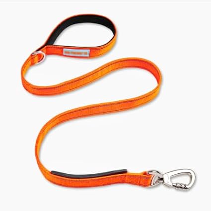DF Co. Classic Dog Leash | Strain-Free, Shock Resistant, Prevents Jolts, Maintain Control | Durable Waterproof Material with Heavy Duty Clip & D-Ring (Orange, Regular)