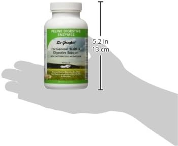 Dr. Goodpet Feline Digestive Enzymes with Probiotics & Prebiotics – Daily Digestive Support Powder for Cats – Promotes Cat Digestion, Nutrient Absorption & Healthy Stool – Vegan
