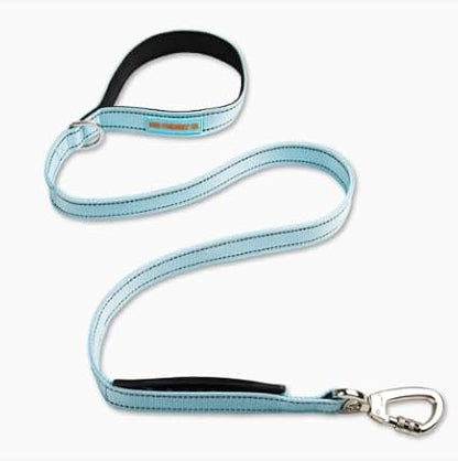 DF Co. Classic Dog Leash | Strain-Free, Shock Resistant, Prevents Jolts, Maintain Control | Durable Waterproof Material with Heavy Duty Clip & D-Ring (Sky Blue, Small)