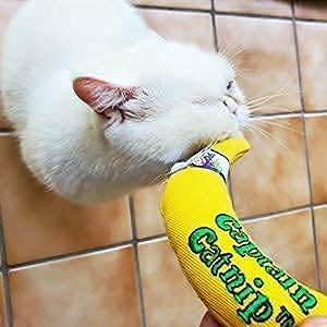 Captain Catnip Cat Banana Toy, Kitten Interactive Toy, Fun Playing Cat Toy, Filled with Organic Catnip for Indoor Cats (Pack of 2)