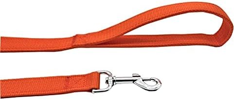 Strong Nylon Dog Leash with 2-Layer, 4 FT/ 6 FT/ 7FT Long, 1 Inch Wide for Medium Large Dogs (Orange, 1'' x 2 FT)