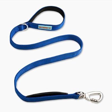 DF Co. Classic Dog Leash | Strain-Free, Shock Resistant, Prevents Jolts, Maintain Control | Durable Waterproof Material with Heavy Duty Clip & D-Ring (Classic Blue, Regular)