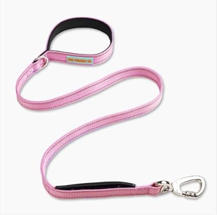 DF Co. Classic Dog Leash | Strain-Free, Shock Resistant, Prevents Jolts, Maintain Control | Durable Waterproof Material with Heavy Duty Clip & D-Ring (Pink, Small)