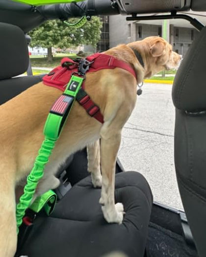 Heavy Duty Bungee Dog Leash - Shock Absorbing, Seat Belt Clip, Quick Release Frog Clasp, Double Padded Handles, for Large and Medium Dogs, Durable for Training, Walking, Car Safety, Outdoor Adventure