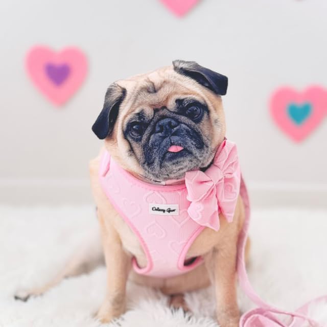 Medium Dog Harness Set – Cute No Pull, All Weather, Breathable Harness and Leash Set with Collar, Bandana, Sailor Bow & Poop Bag Holder – Adjustable, Soft & Stylish – Pink Hearts on Jacquard Fabric