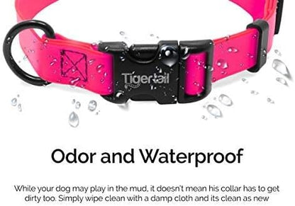 Tiger Tail Small Pink Dog Collar | Waterproof and Odor-Proof for Active Pets | Durable, Anti-Mat, and Lightweight Design | Made with Premium Coated Nylon | Suitable for Small Breed Dogs
