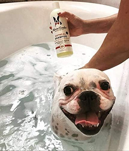 Warren London Oatmeal Dog Shampoo - Fast Itch Relief for Dry, Sensitive, & Irritated Skin - Infused with Vitamins & Neem Oil - Made in USA - 1 Gallon