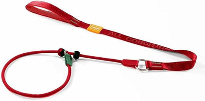 Howgo Dog Slip Lead Dog Leash, Training Leash, No-Pull Lightweight Slip Lead and Collar, Heavy Duty & Durable, Padded Handle, for All Breeds (Red, 3.6FT)