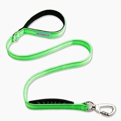 DF Co. Classic Dog Leash | Strain-Free, Shock Resistant, Prevents Jolts, Maintain Control | Durable Waterproof Material with Heavy Duty Clip & D-Ring (Green, Small)