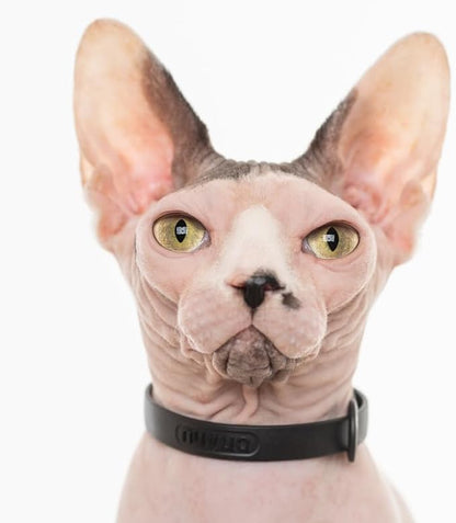 Silicone Cat Collar - Soft, Comfortable, and Lightweight Breakaway Collar with Name Tag Ring for Outdoor Cats and Sensitive Skin Pets by Nuvuq (6 ⅞" to 10 ¼", Black)