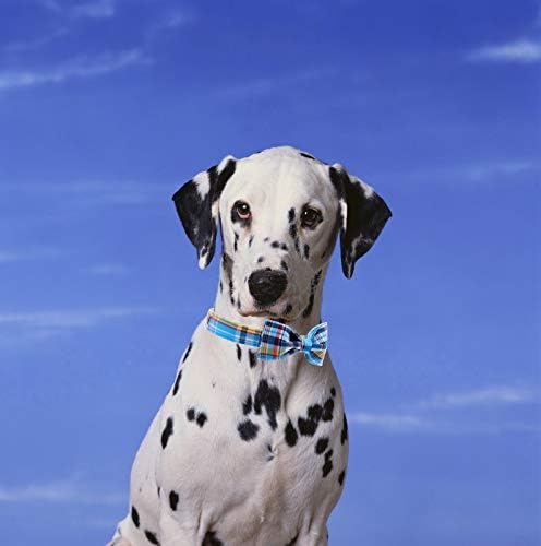 Unique style paws Plaid Dog Collar with Bow Pet Gift Adjustable Soft and Comfy Bowtie Collars for Small Medium Large Dogs (XS)