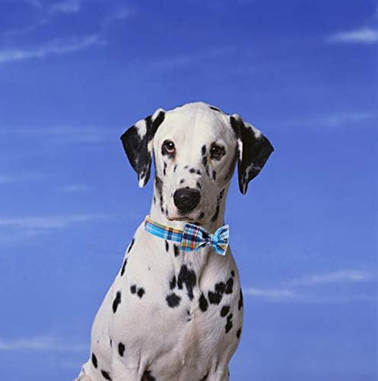 Unique style paws Plaid Dog Collar with Bow Pet Gift Adjustable Soft and Comfy Bowtie Collars for Small Medium Large Dogs (XS)