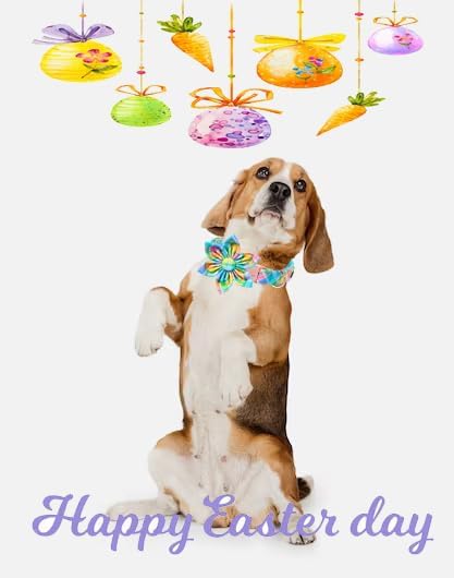 Unique style paws Easter Dog Collar with Bow Easter Eggs Chicken Collar with Flower for Small Medium Large Boys Girls Dogs