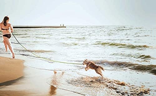 PETGOGO 15ft 20ft 30ft 40ft 50ft Long Dog/Puppy Lead Obedience Recall Training Dog Leashes for Small Medium Dogs Camping, Training, Play, or Backyard (15 FT, Orange)
