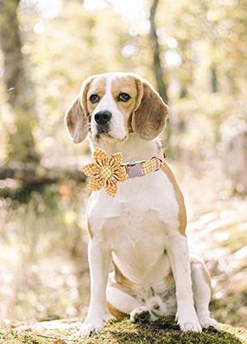 Lionet Paws Dog Collar with Flower, Soft and Comfortable, Adjustable Collar for Puppies and Cats Girl, Neck 8-12 inches