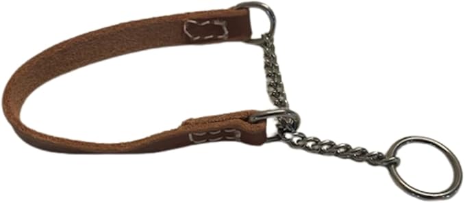 Joel Silverman - Alternative Training Collar - Gentle No-Pull Dog Collar - Leather & Chain Combo for Humane, Low-Neck Control - Trainer-Trusted Leather Dog Collar for All Breeds (Extra Small)