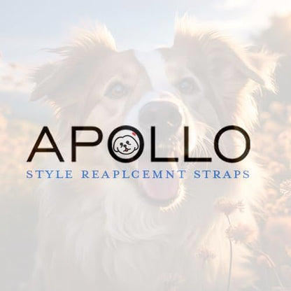 Sparky Pet Co - Apollo ECollar Replacement Strap - Dog Collar - Waterproof Biothane - Adjustable - Double Buckle - Quick Snap Metal Clasp - for Invisible Fence Systems - 3/4" x 28" (Teal)
