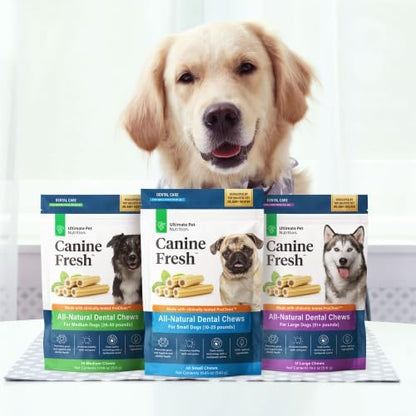 ULTIMATE PET NUTRITION Canine Fresh Dental Chews, Dental Dog Treats, Oral Care and Hygiene Sticks, Soothes Gums, Vet Developed, 30 Chews (Small)