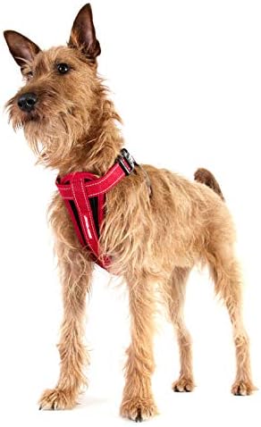 EzyDog Chest Plate No Pull Dog Harness – Escape Proof Harness with Reflective Stitching and Comfort Padding for Easy Walks, Training & Control - Car Restraint Included (Small, Gray)