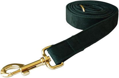 JAY D.L Dog Collar and Leash Set，Soft & Comfy Velvet Dog Collars with Heavy Duty Metal Buckle and Matching Lead Adjustable for Small Medium Large Dogs (Small, Green)