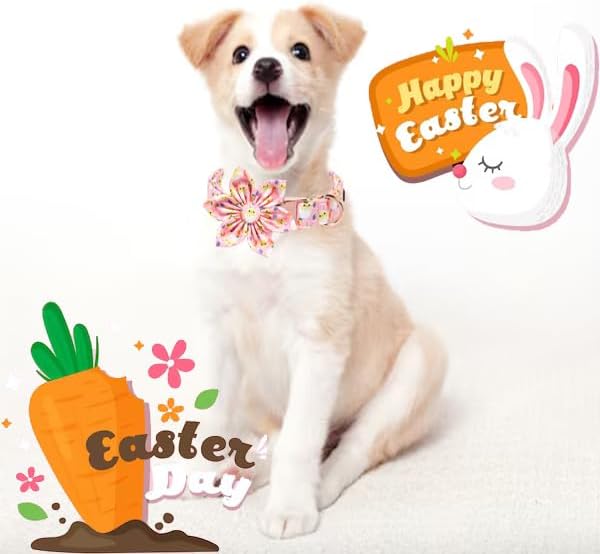 Unique style paws Easter Dog Collar with Bow Easter Eggs Chicken Collar with Flower for Small Medium Large Boys Girls Dogs