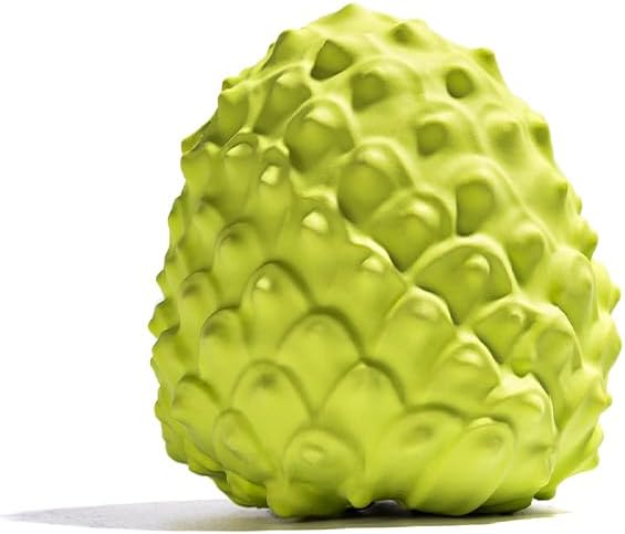 MewaJump Dog Squeaky Toys for Aggressive Chewers, Interactive Natural Rubber Chew Toy for Small Puppy Dogs, Tough Dog Toys for Medium Breed, Keep Dogs Busy, Training and Cleaning Teeth
