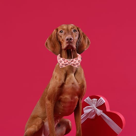 Unique Style Paws Valentiene's Day Dog Collar with Bow Heart Print Cotton Dog Collars Collar for Small Medium Large Dogs New
